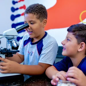 Ensino Fundamental 1